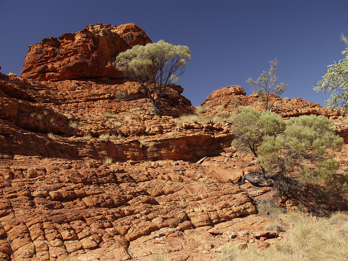 Kings Canyon, image of landscape/habitat.