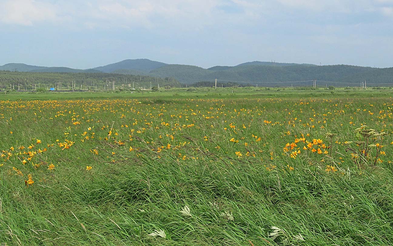 Бухта Тихая, image of landscape/habitat.