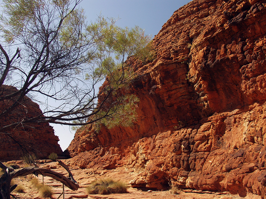 Kings Canyon, image of landscape/habitat.