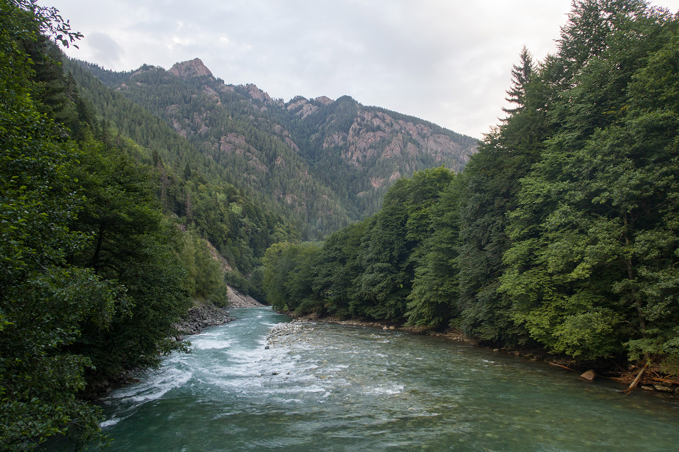 Б. Лаба ниже слияния с Заканом, image of landscape/habitat.