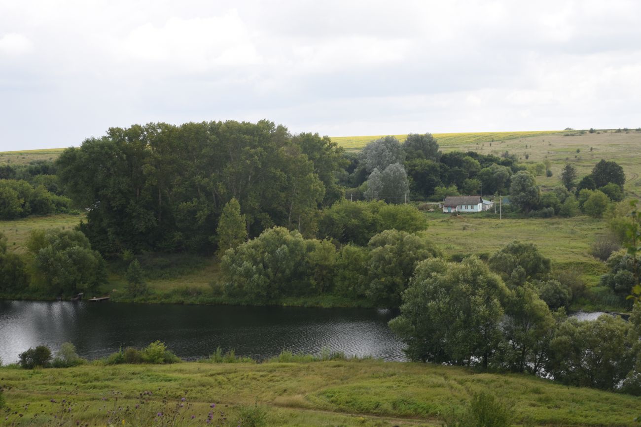 Окрестности деревни Дубки, image of landscape/habitat.