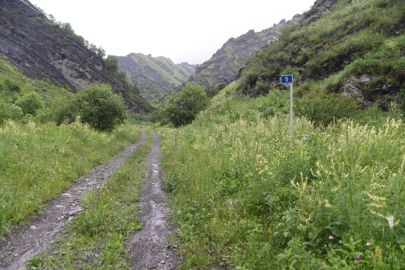 Дом Мансура, image of landscape/habitat.