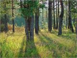 Image of landscape