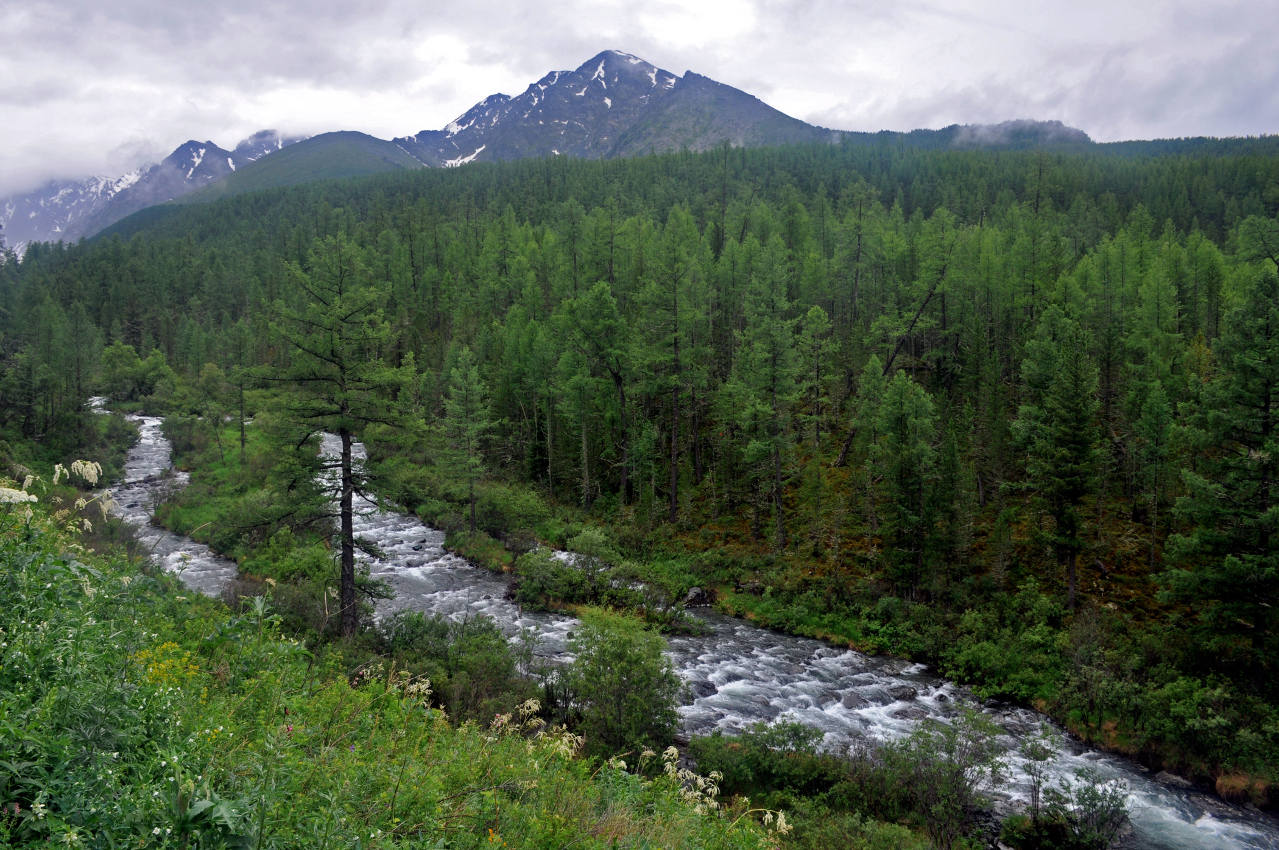 Долина реки Куйгук, image of landscape/habitat.