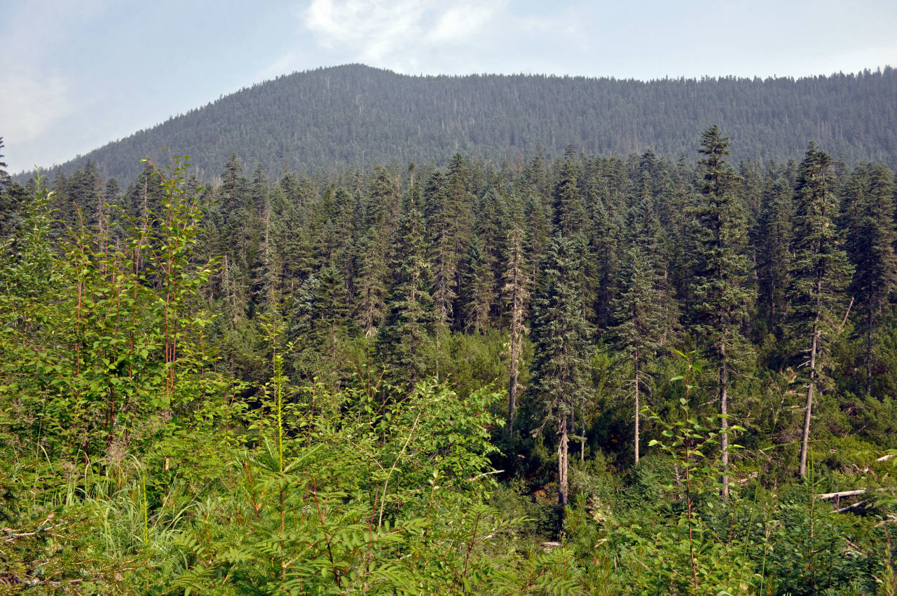 Долина реки Гремячий Лог, image of landscape/habitat.