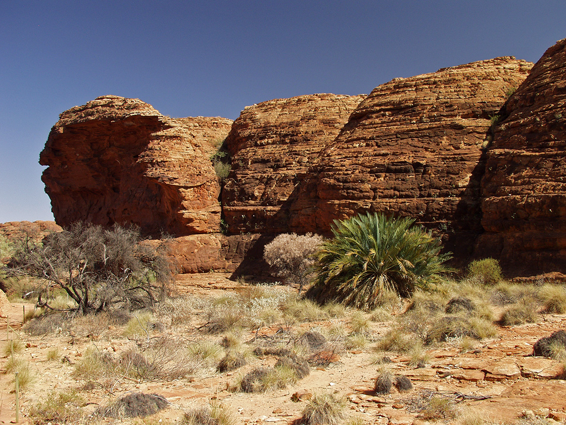 Kings Canyon, image of landscape/habitat.