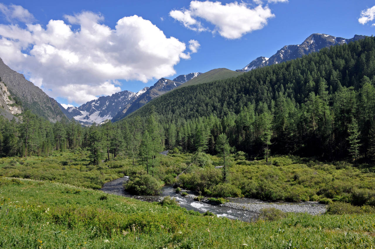 Долина реки Куйгук, image of landscape/habitat.