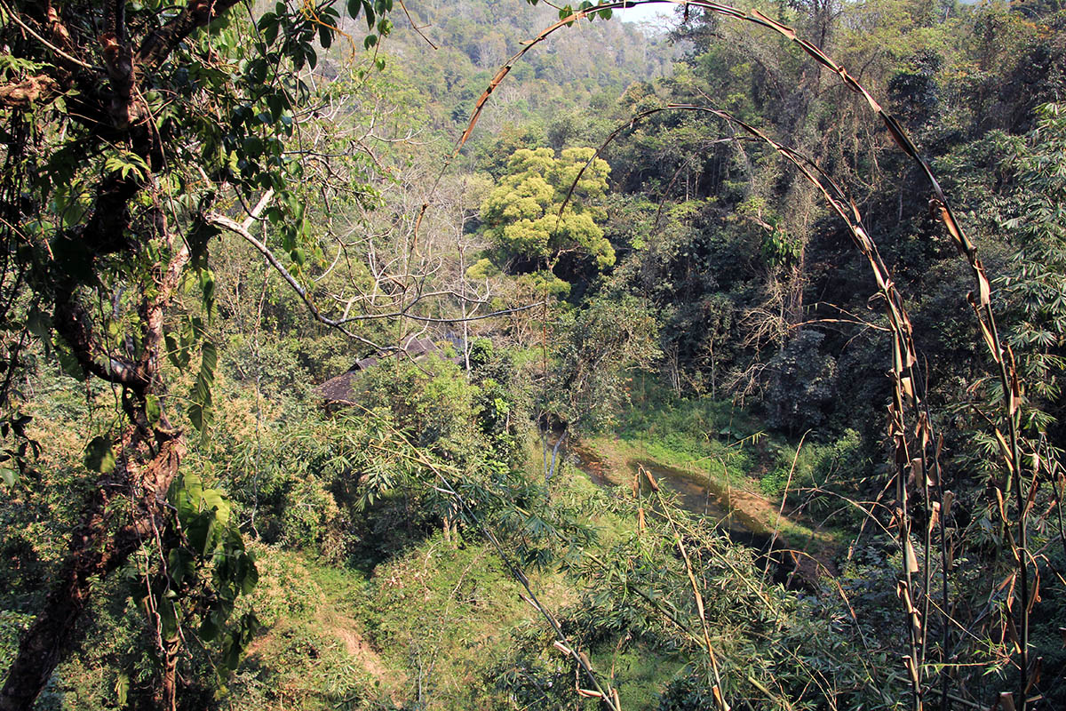 Долина диких слонов, изображение ландшафта.