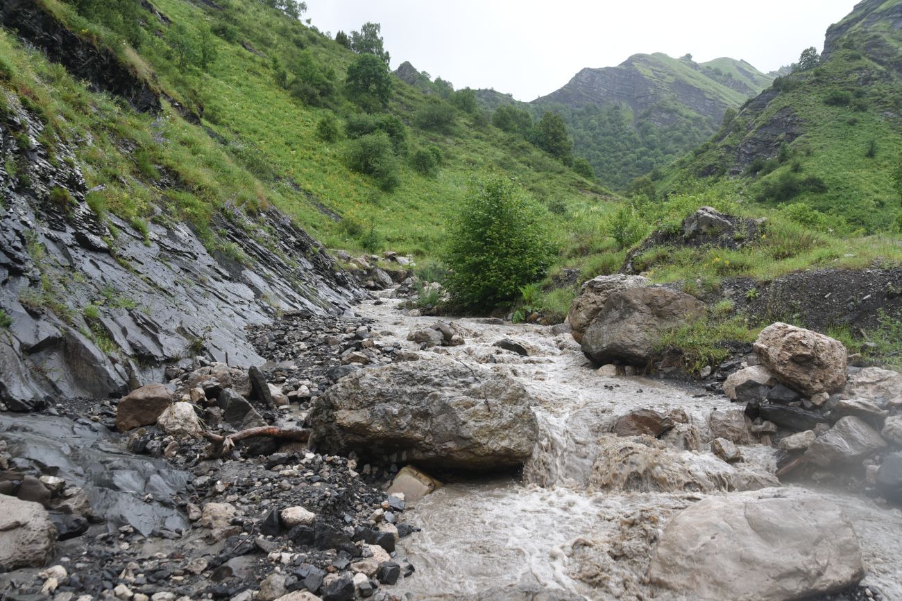 Окрестности водопада Цеси, image of landscape/habitat.