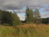 Image of landscape