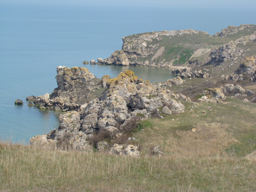 Крымское Приазовье, image of landscape/habitat.