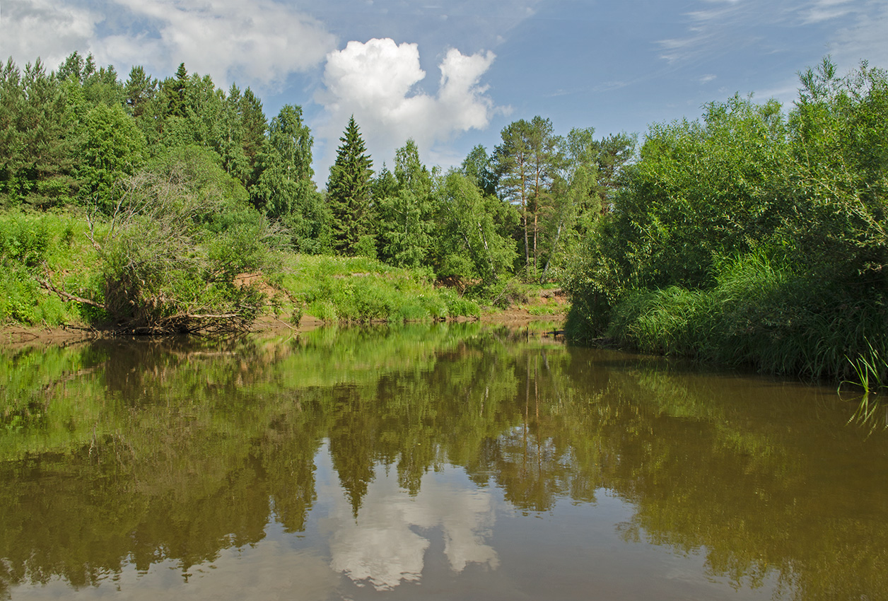 Окрестности села Вознесенское, image of landscape/habitat.