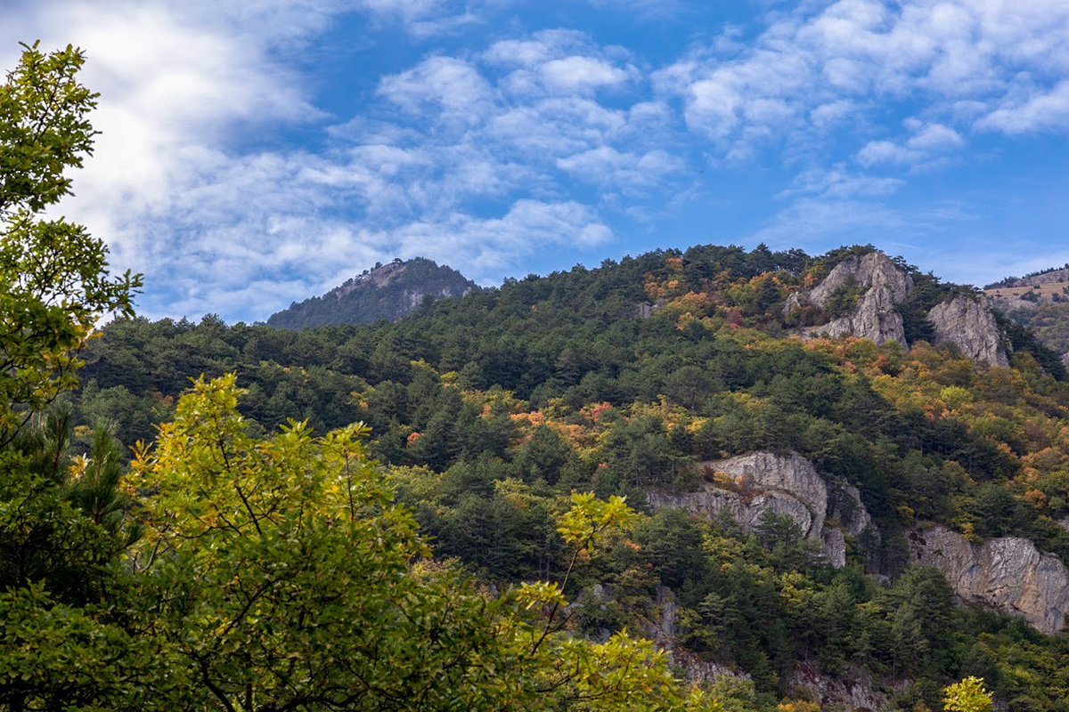 Урочище Парагильмен, image of landscape/habitat.