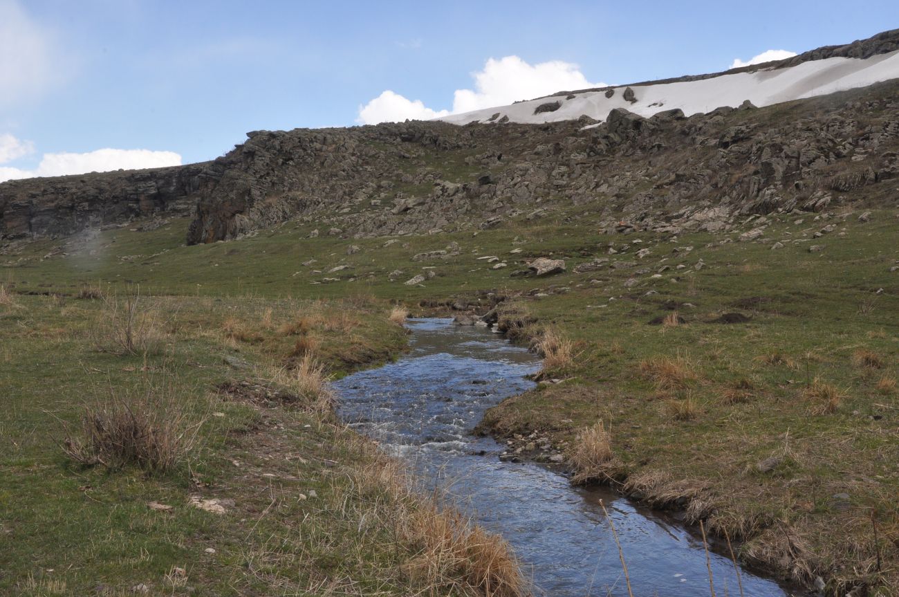 Долина реки Борлук, image of landscape/habitat.