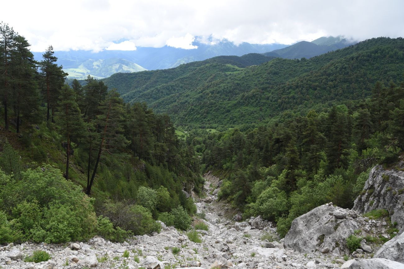 Урочище Камень-На-Камне, image of landscape/habitat.