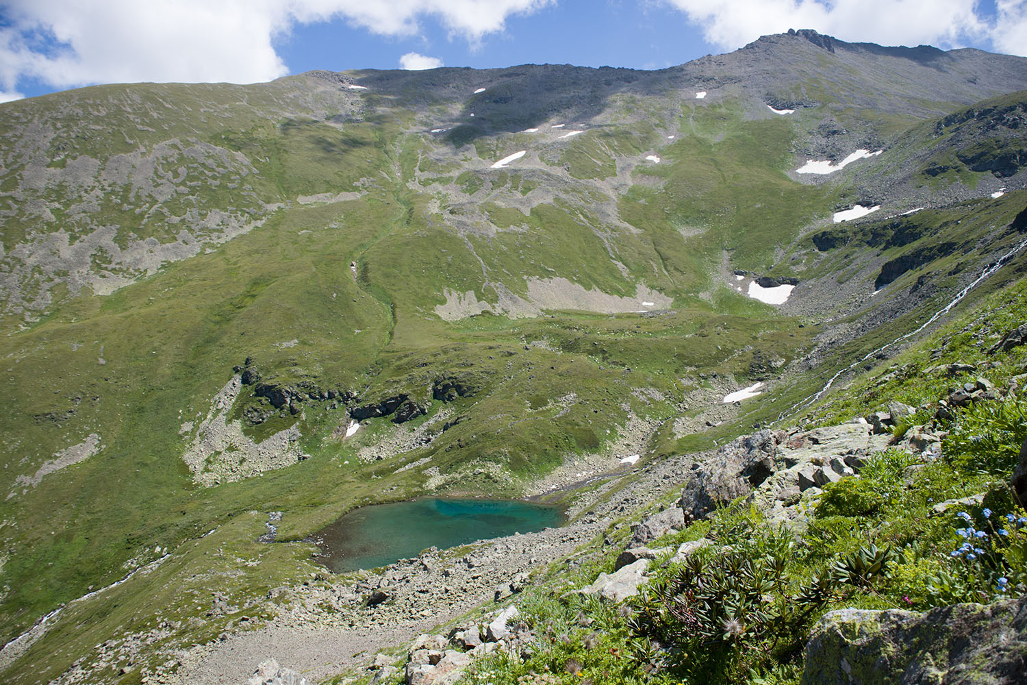 Долина Тихого ручья, image of landscape/habitat.