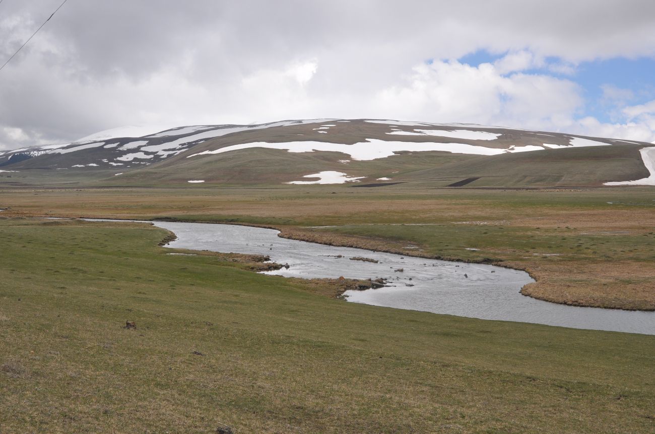 Окрестности долины реки Паравани, image of landscape/habitat.