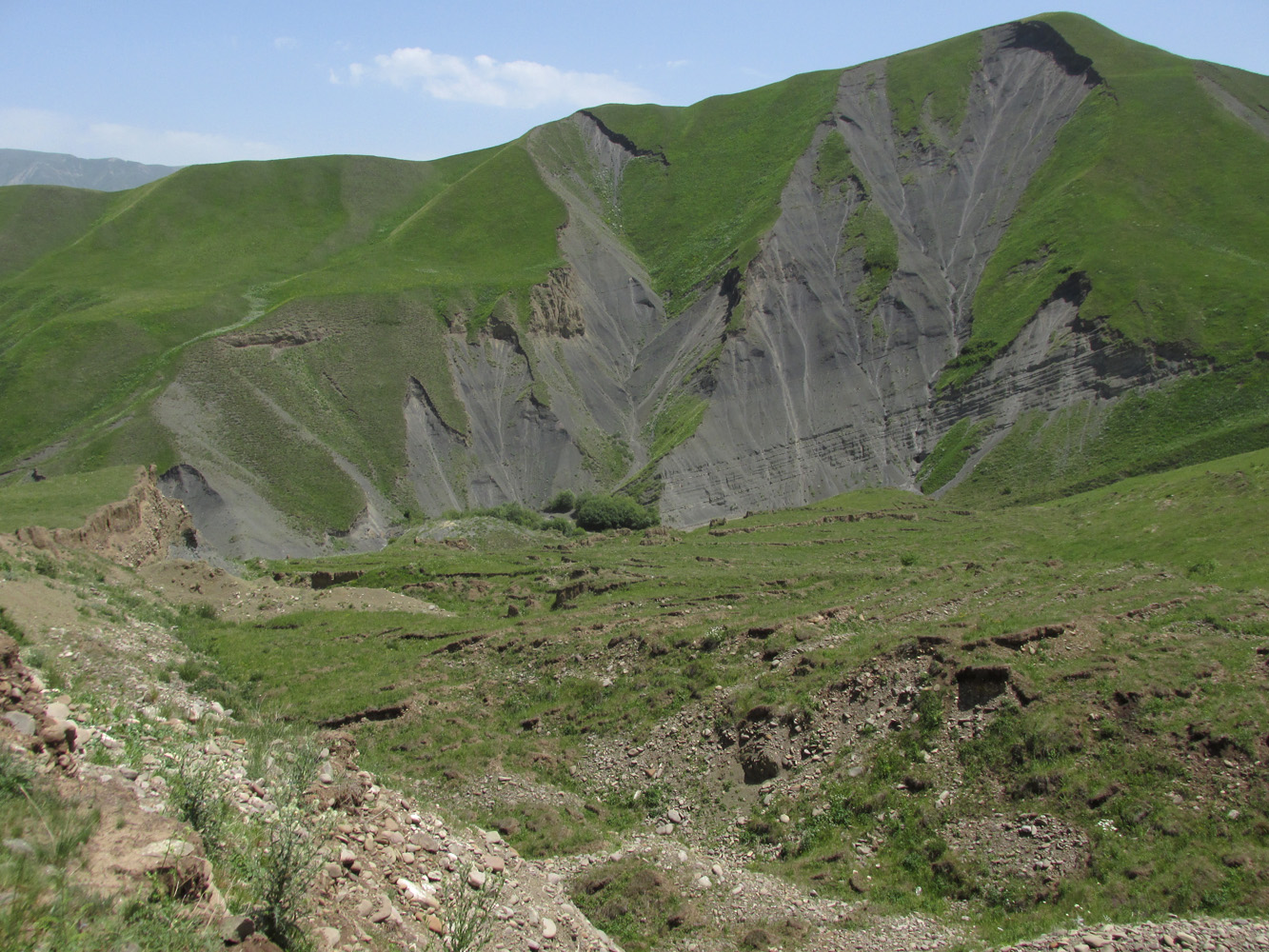 Окрестности села Шара, image of landscape/habitat.