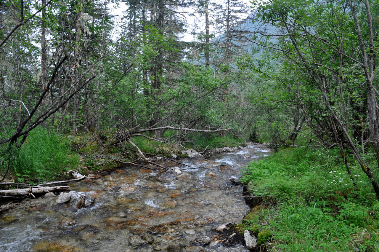 Долина реки Гремячий Лог, image of landscape/habitat.