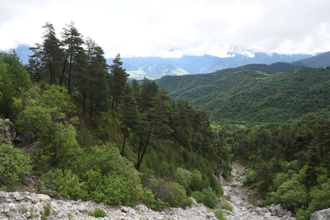 Урочище Камень-На-Камне, изображение ландшафта.