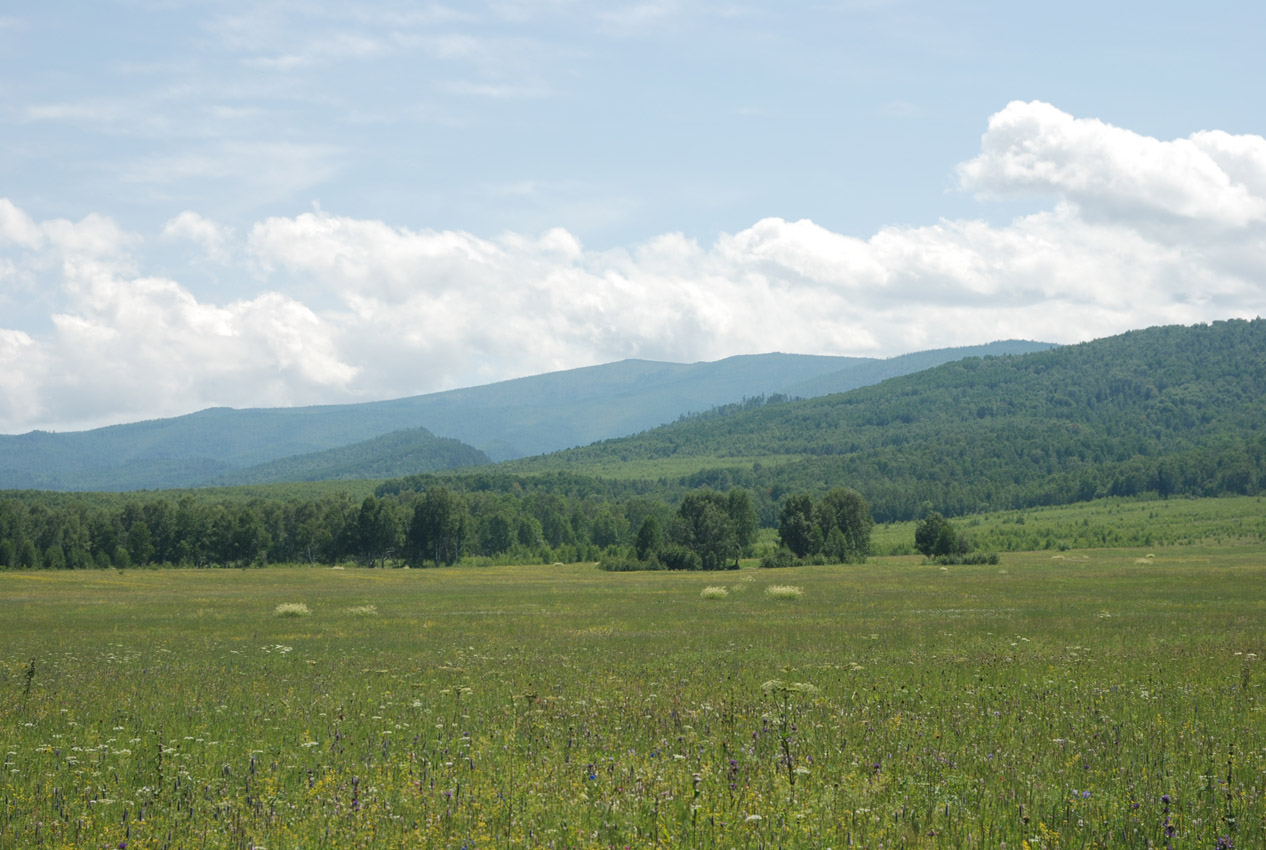 Окрестности села Жемчуг, image of landscape/habitat.