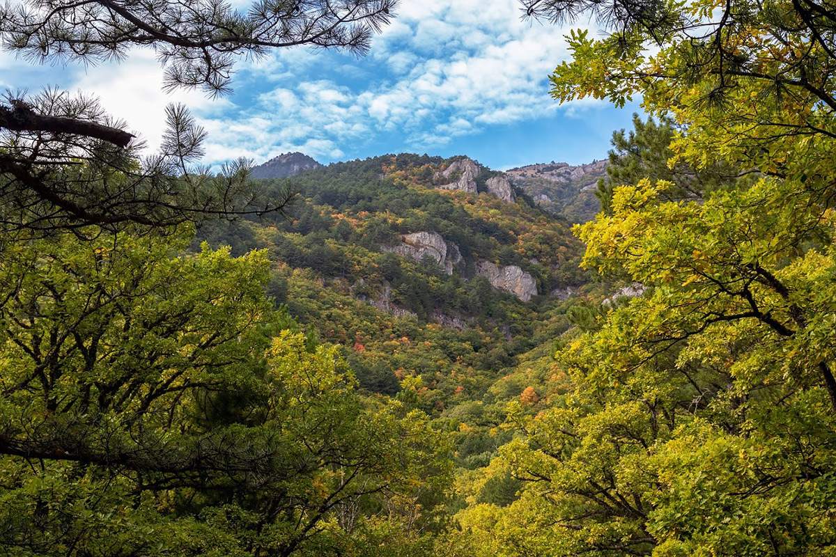 Урочище Парагильмен, image of landscape/habitat.