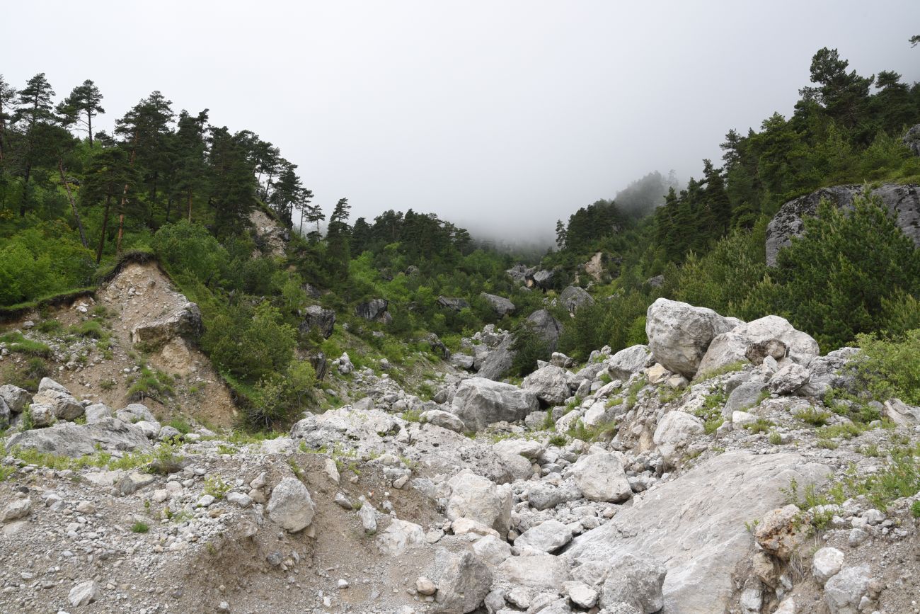 Урочище Камень-На-Камне, image of landscape/habitat.