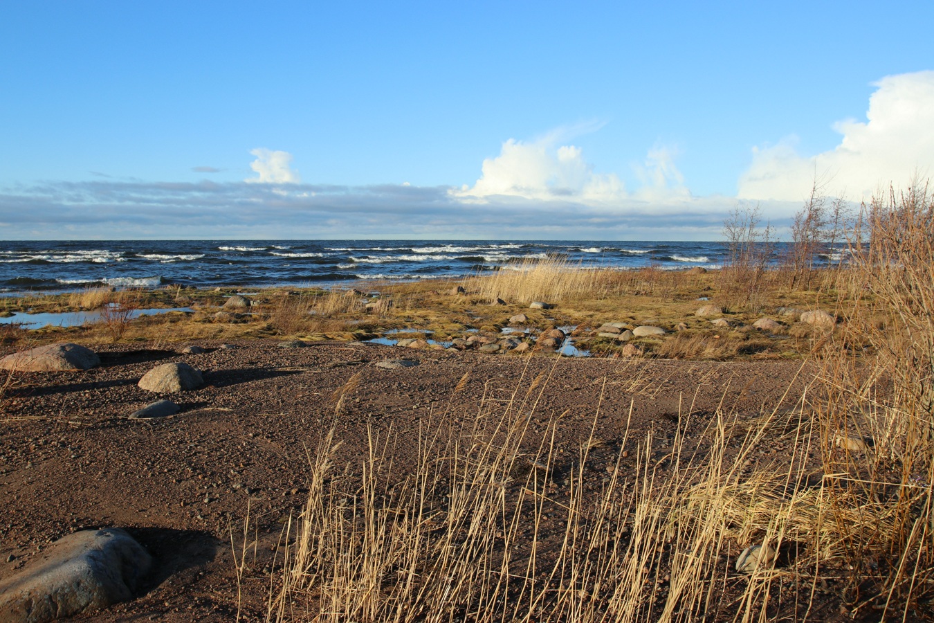 Каравалдай, image of landscape/habitat.