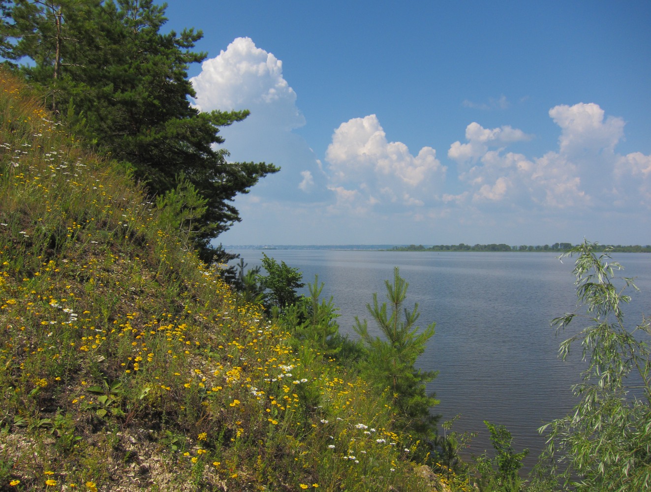 Речное, image of landscape/habitat.