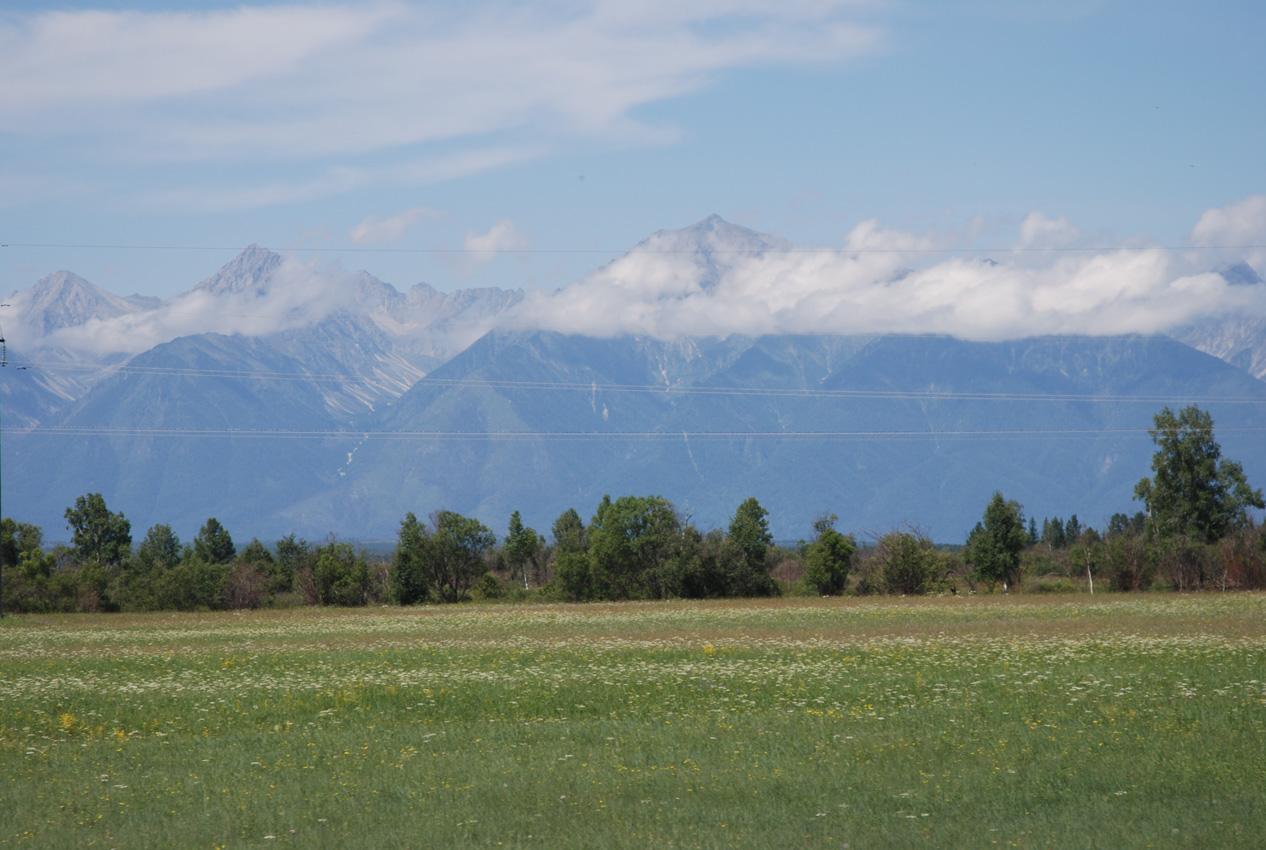 Окрестности села Жемчуг, image of landscape/habitat.