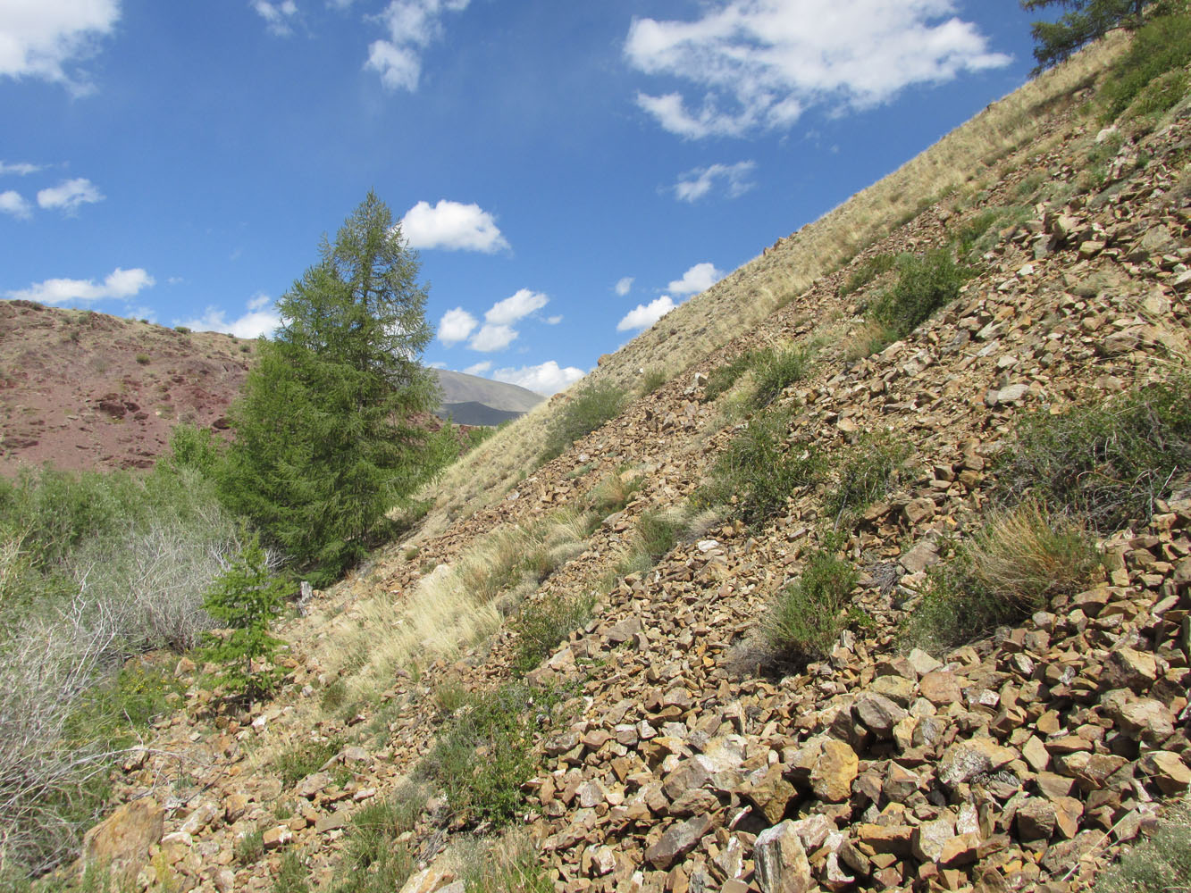 Тыдтуярык (кемпинг и рядом), image of landscape/habitat.