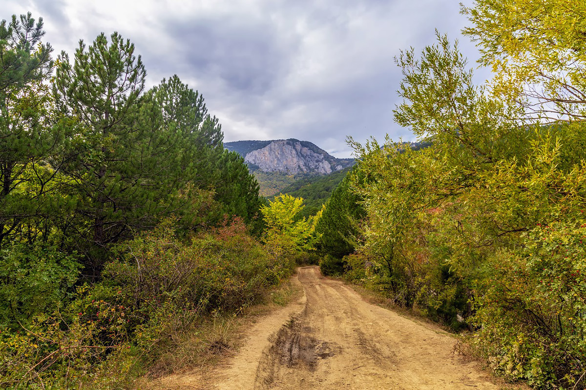 Урочище Парагильмен, image of landscape/habitat.