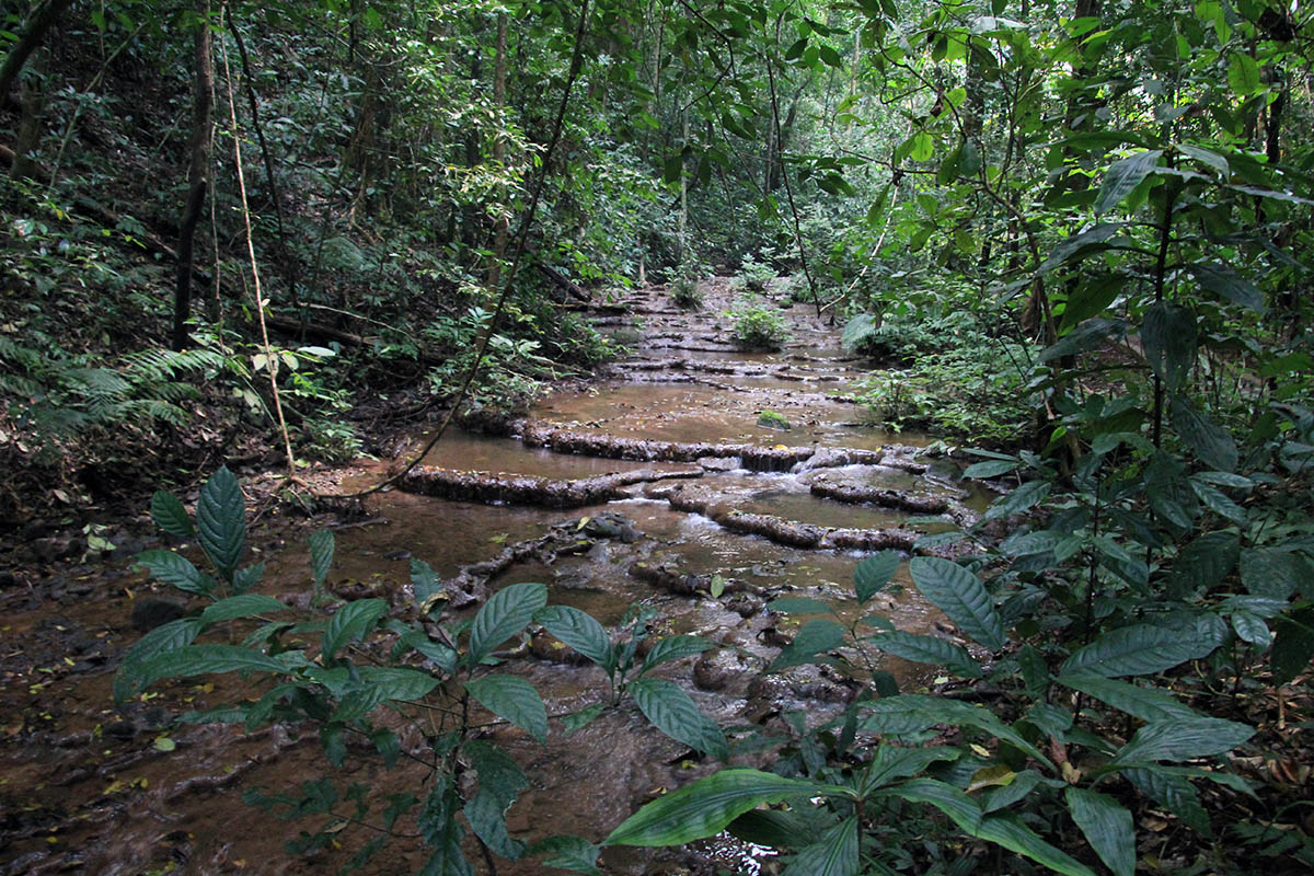 Вангтяньши, image of landscape/habitat.