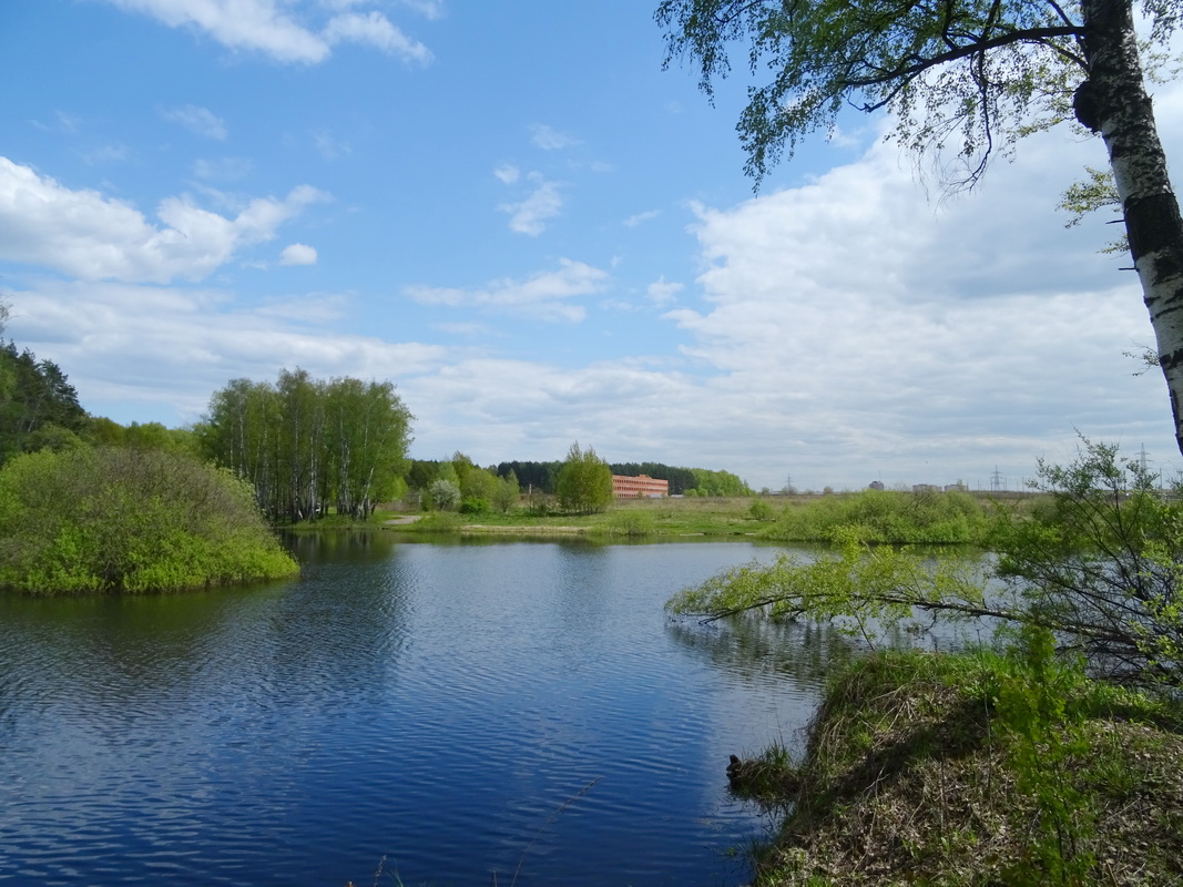 Подольск, image of landscape/habitat.