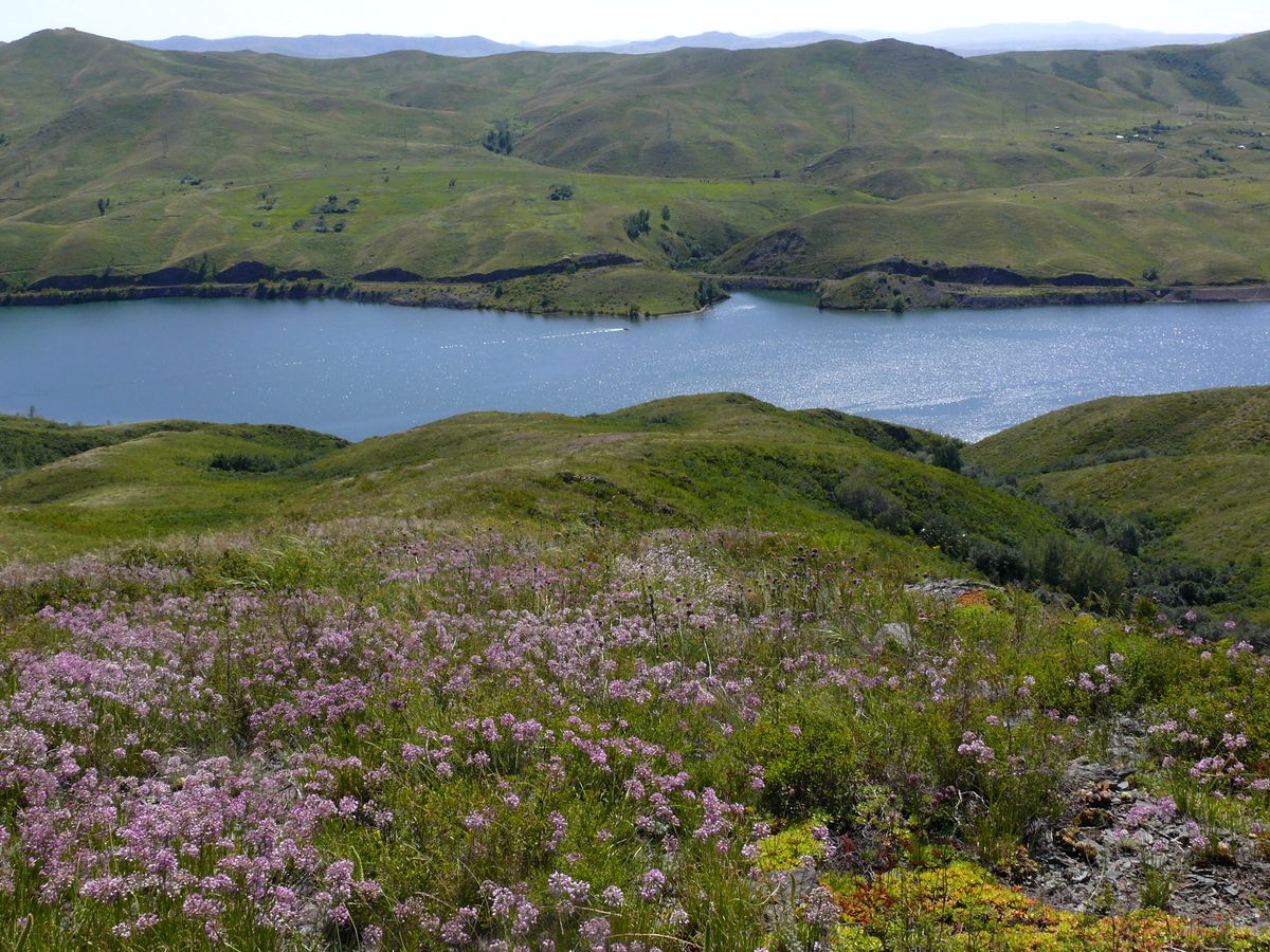 Правый берег Усть-Каменогорского водохранилища, image of landscape/habitat.