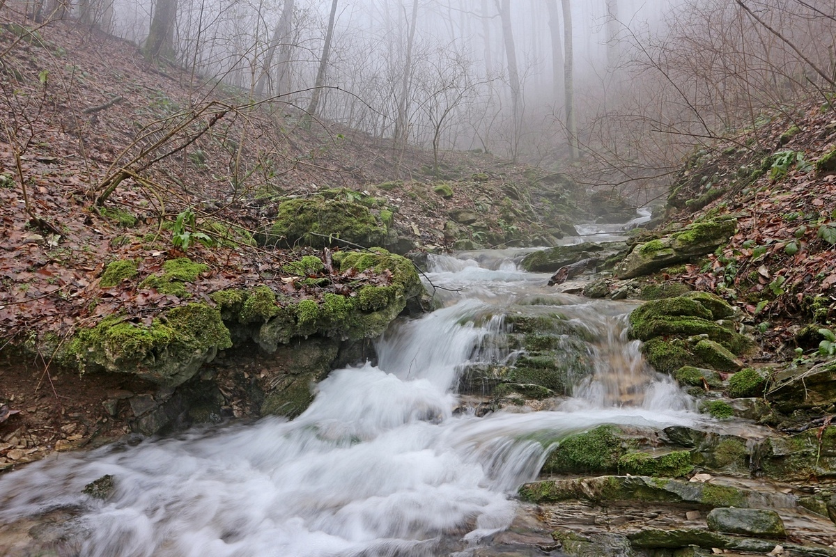 Щель Медвежья, image of landscape/habitat.