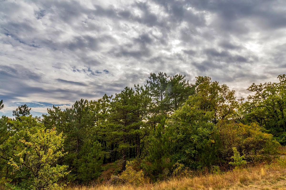 Урочище Парагильмен, image of landscape/habitat.