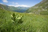 Верхний Имеретинский водопад, image of landscape/habitat.