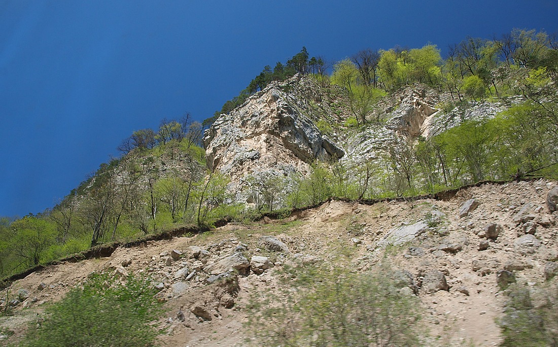 Низовья Алагирского ущелья, image of landscape/habitat.