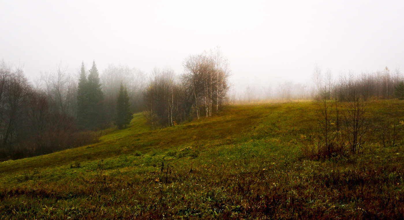 Окрестности села Красный Бор, image of landscape/habitat.