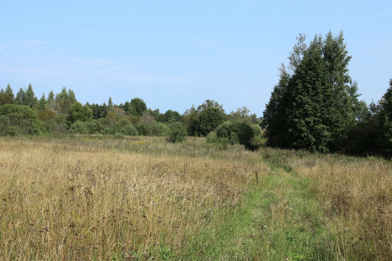 Езерище и окрестности, image of landscape/habitat.