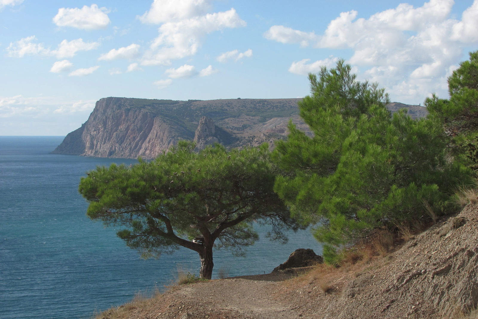 Балаклавские высоты, image of landscape/habitat.