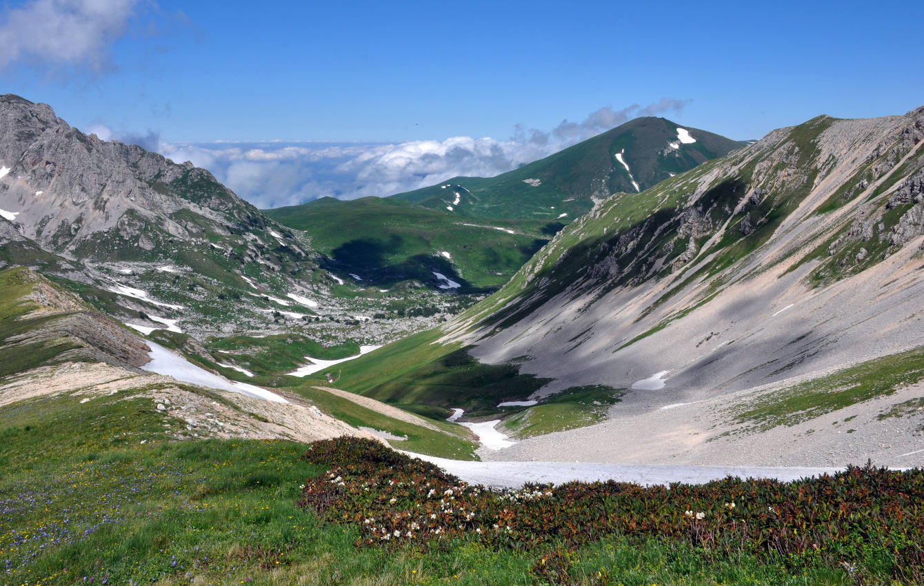 Оштен, image of landscape/habitat.