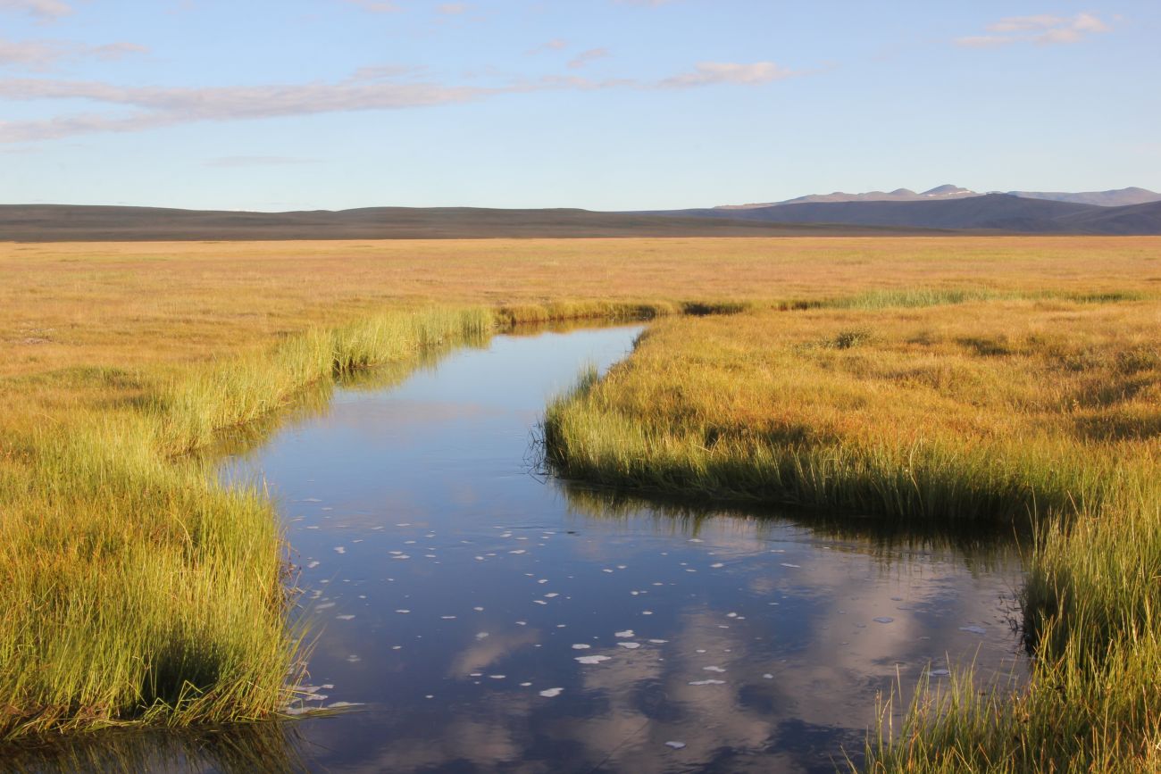 Окрестности Гусиного озера, image of landscape/habitat.