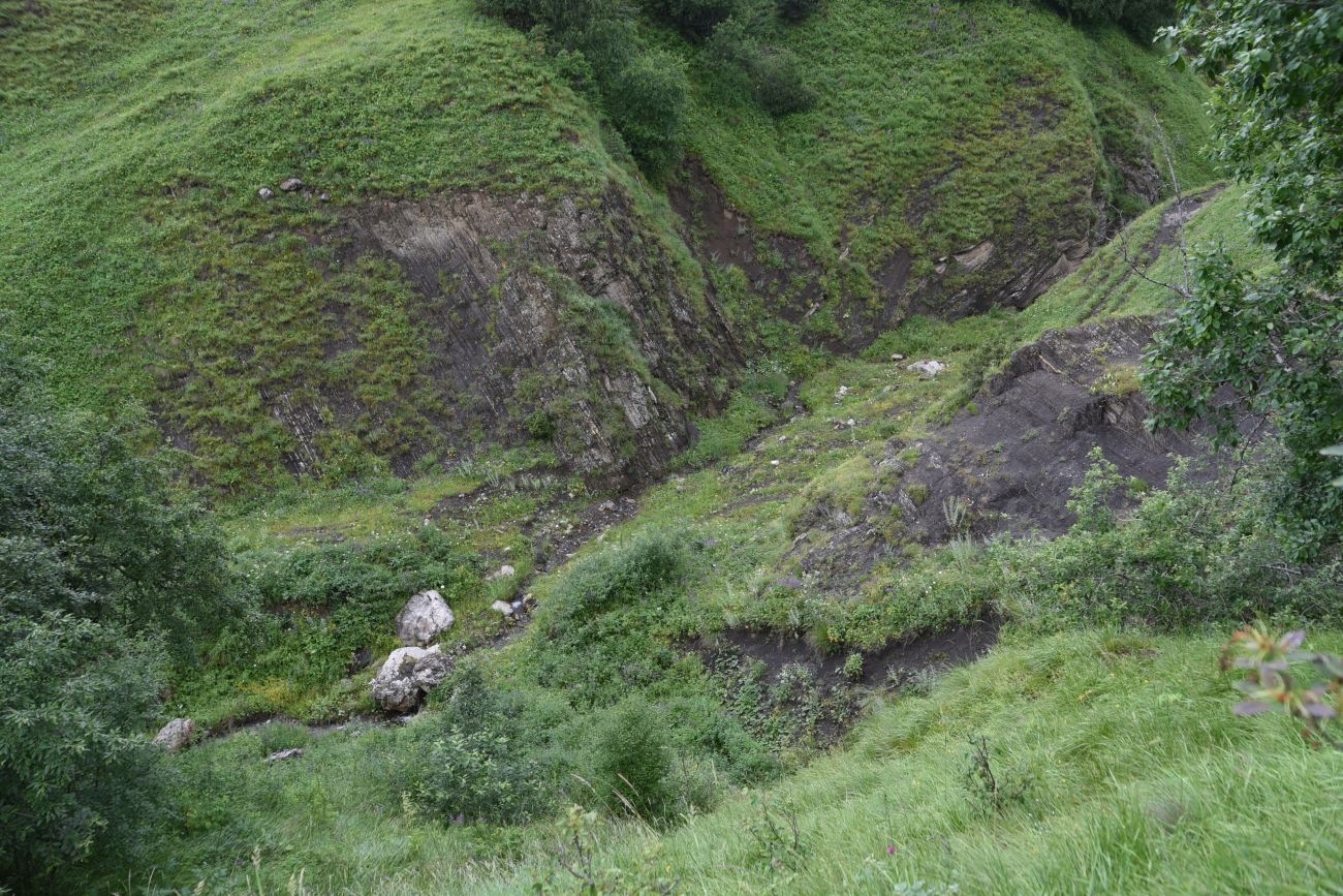 Урочище Кязи и окрестности, image of landscape/habitat.