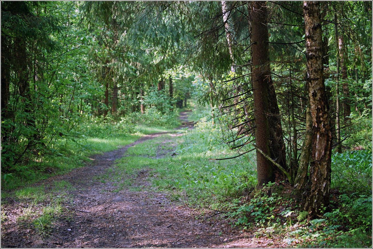 Окрестности Хрипани, image of landscape/habitat.