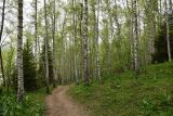 Медео - Чимбулак, image of landscape/habitat.