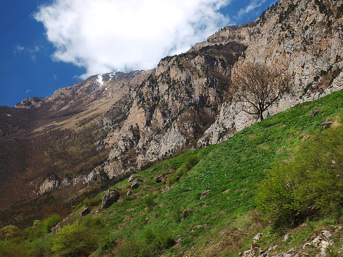 Низовья Алагирского ущелья, image of landscape/habitat.