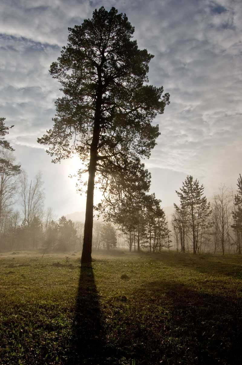 Окрестности урочища Куртаза, image of landscape/habitat.