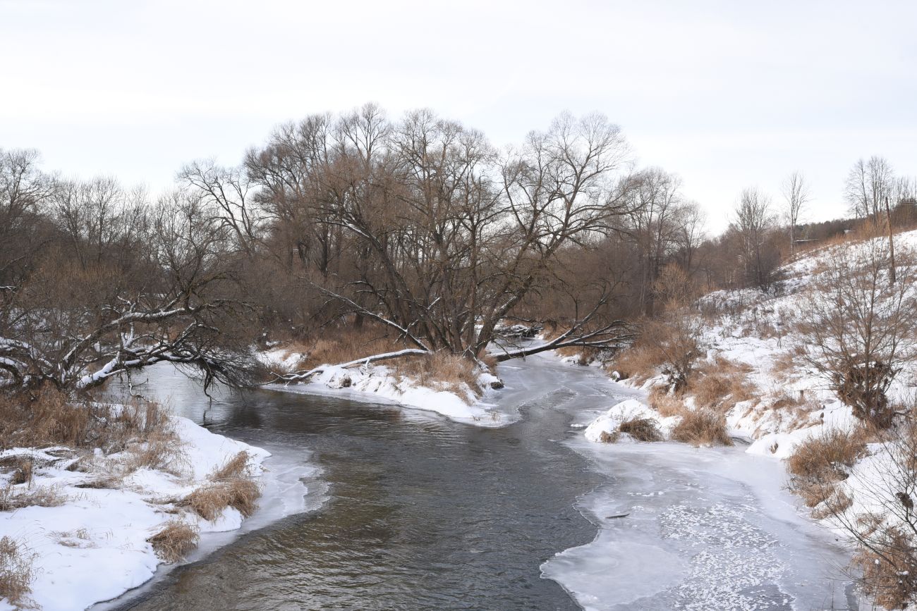 Окрестности деревни Сатино, image of landscape/habitat.